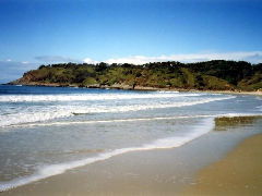 Walkabout Holiday House - Holiday Byron Bay 4