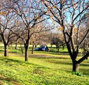 Wellington Caves Caravan Park - Holiday Byron Bay