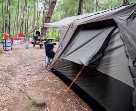 WA Wilderness Catered Camping At Big Brook Arboretum - Holiday Byron Bay 0