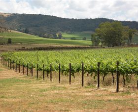 Acacia Park Farm House - Holiday Byron Bay 7
