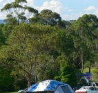Milton Valley Holiday Park - Holiday Byron Bay
