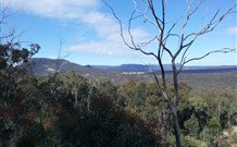 Wollemi Adventure Resort - Holiday Byron Bay 4