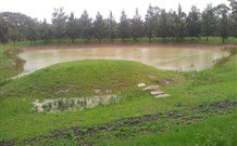 Wollemi Adventure Resort - Holiday Byron Bay 5