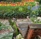 The Carrington Inn - Holiday Byron Bay