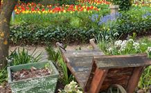 The Carrington Inn - Holiday Byron Bay 0