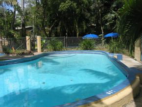 Big 4 Whitsundays Tropical Eco Resort (formerly Flametree) - Holiday Byron Bay 1