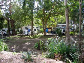 Big 4 Whitsundays Tropical Eco Resort (formerly Flametree) - Holiday Byron Bay 2