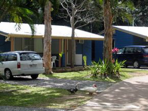 Big 4 Whitsundays Tropical Eco Resort (formerly Flametree) - Holiday Byron Bay 3