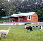 Moorallie Cottage Farm Stay