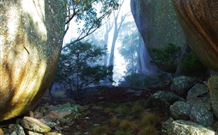 Anketell Forest Cottages - Holiday Byron Bay 4