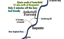 Anketell Forest Cottages - Holiday Byron Bay 6