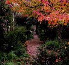 Gulgong B and B - Holiday Byron Bay