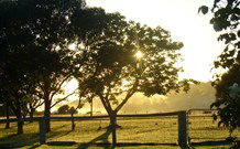 Pebble Bay Cottage - Holiday Byron Bay 4
