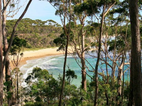 Allawah Cabins - Holiday Byron Bay 1