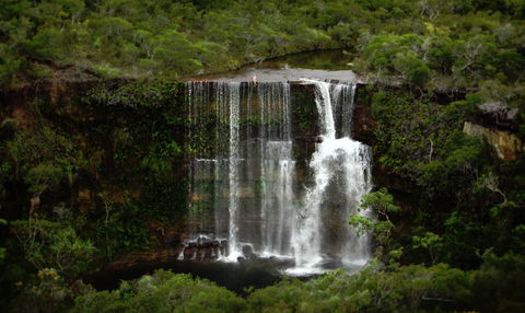 Haggerstone Island Resort - Holiday Byron Bay 6