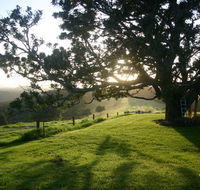Kilfeacle Farm Cottage - Holiday Byron Bay