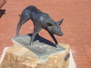 The Ardlethan Kelpie Caravan Park - Holiday Byron Bay 0