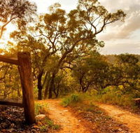 Kurrajong Trails and Cottages - Holiday Byron Bay