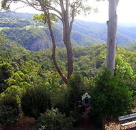 Mt Tamborine Motel - Holiday Byron Bay