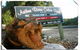 Arthur River Cabin Park - thumb 0