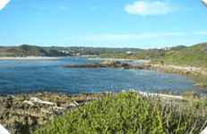 Arthur River Cabin Park - Holiday Byron Bay 5