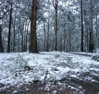 High Peaks Cottages - Holiday Byron Bay