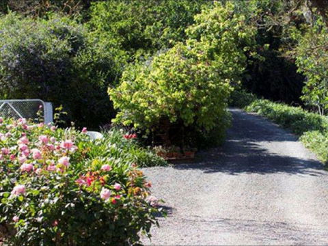 Brown's House Bed & Breakfast - Holiday Byron Bay 3
