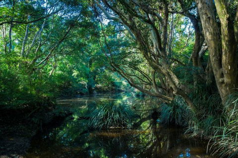 All About Me Bed And Breakfast - Holiday Byron Bay 9