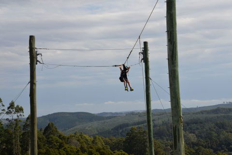 Allambee Camp - Holiday Byron Bay 3