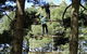 Allambee Camp - thumb 9