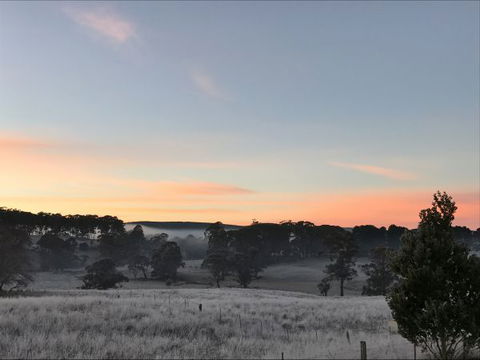 Avaleigh Elms Farmstay - Holiday Byron Bay 8