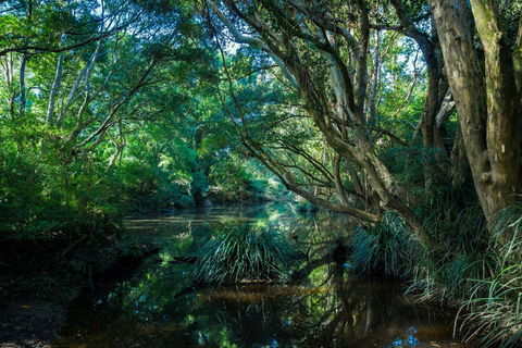All About Me Bed And Breakfast - Holiday Byron Bay 9
