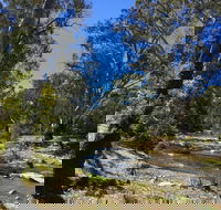 Highfield Farm and Woodland Bush Campsites