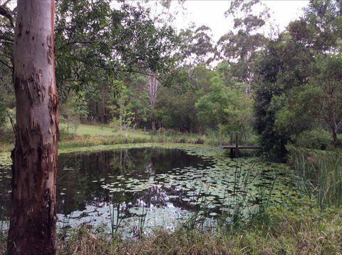Maleny Country Cottages - Holiday Byron Bay 3