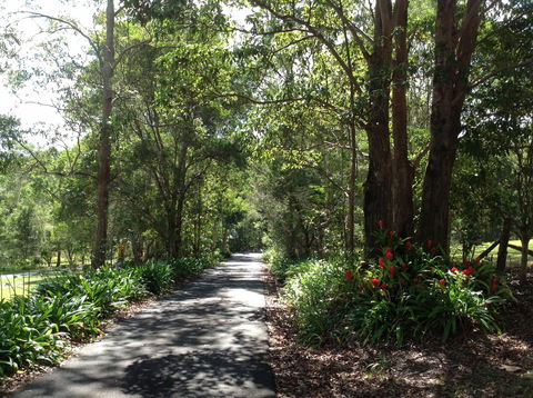 Maleny Country Cottages - Holiday Byron Bay 8
