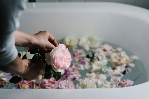 Acre Of Roses - Holiday Byron Bay 5