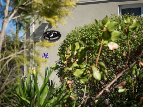 Austin Rise B&B - Holiday Byron Bay 1