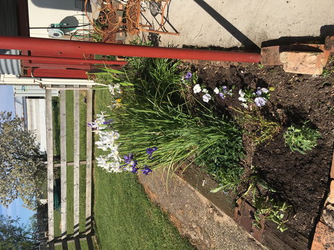 Fairview Bed And Breakfast Cottage - Holiday Byron Bay 2
