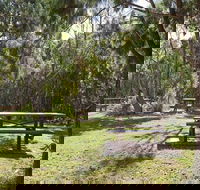 Illaroo group camping area - Holiday Byron Bay