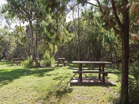 Illaroo Group Camping Area - Holiday Byron Bay 0