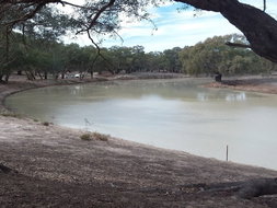 Book North Bourke Accommodation Vacations Holiday Byron Bay Holiday Byron Bay