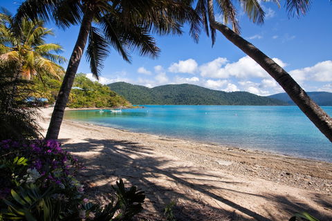 Palm Bay Resort - Holiday Byron Bay 2