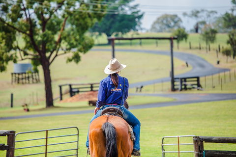 Tobruk Sydney Farm Stay - Holiday Byron Bay 0