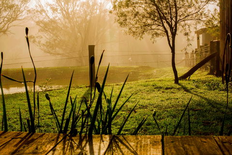 Tobruk Sydney Farm Stay - Holiday Byron Bay 1