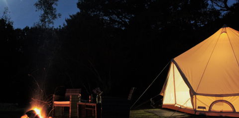 Zeehan Bush Camp - Holiday Byron Bay 1