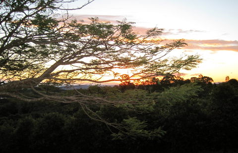 Annie's Place Bed And Breakfast - Holiday Byron Bay 0