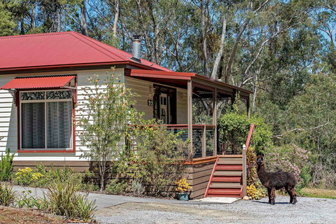 Araluen Park Cottages - Holiday Byron Bay 0