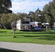 Pinjarra Caravan Park - Holiday Byron Bay