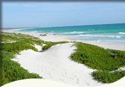Trigg Retreat Bed And Breakfast - Holiday Byron Bay 5