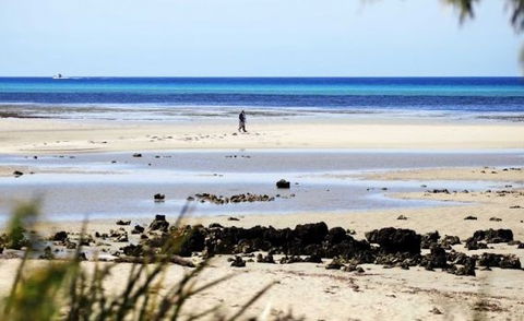 Halcyon Bay - Holiday Byron Bay 5
